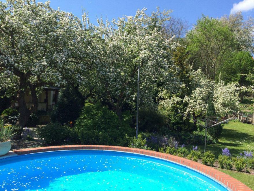 Ferienhaus Hagenwinkel Gernrode  Dış mekan fotoğraf