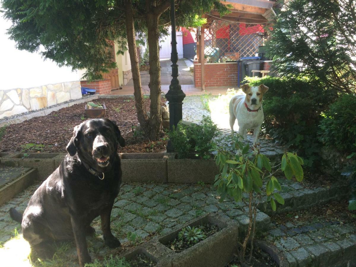 Ferienhaus Hagenwinkel Gernrode  Dış mekan fotoğraf